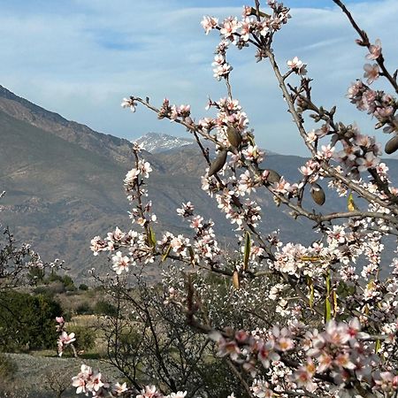 Cortijo Vacas Gordas B&B Castell de Ferro Luaran gambar