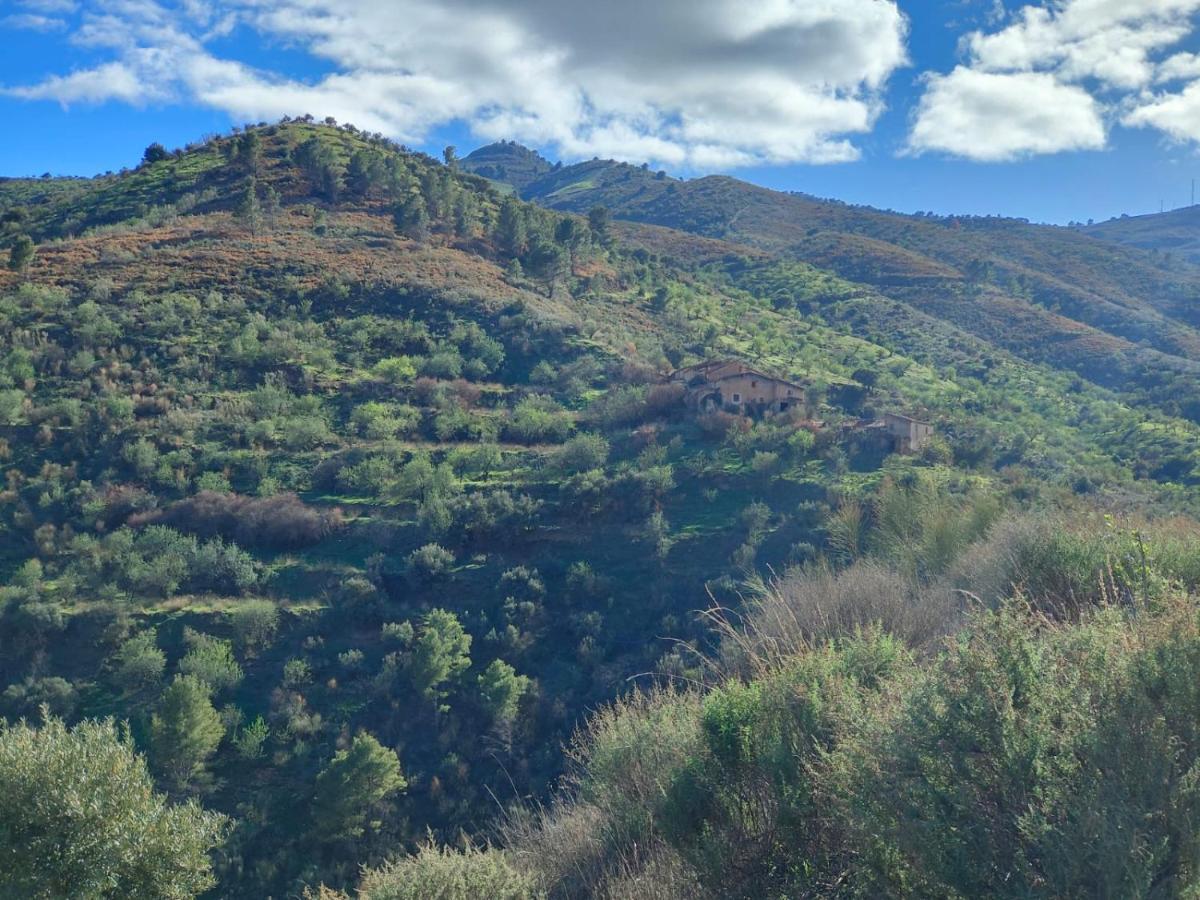 Cortijo Vacas Gordas B&B Castell de Ferro Luaran gambar