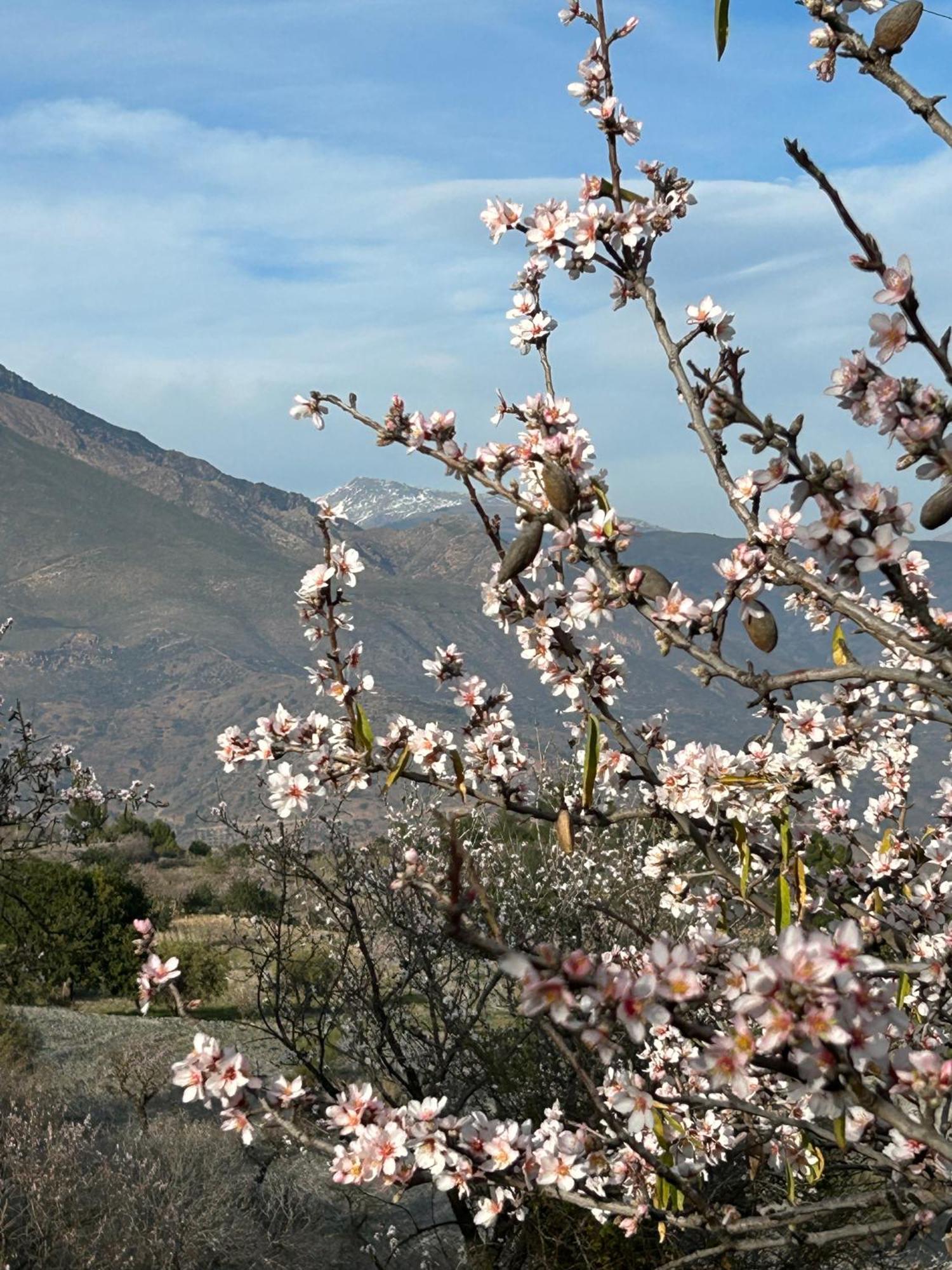 Cortijo Vacas Gordas B&B Castell de Ferro Luaran gambar